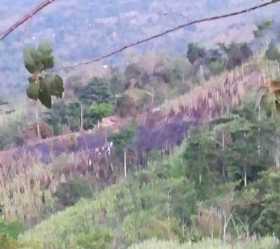 Manizaleño murió en incendio en Villeta (Cundinamarca)