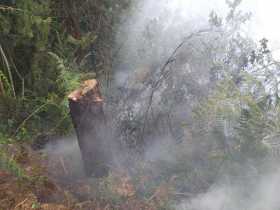 Incendiodecoberturavegetalenelaltodelbrevo