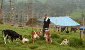 Agricultores también se protegen contra la covid-19 