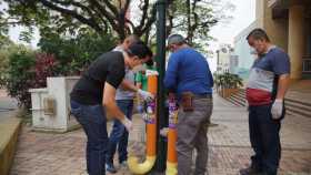 Instalación de comederos para perros callejeros.