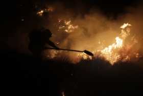 Incendio en Parque Natural Los Nevados habría sido provocado 