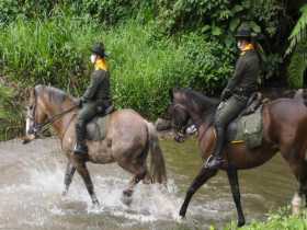 Foto| LA PATRIA Denuncie la presencia de sospechosos en la finca y sus alrededores al 123 y número del cuadrante de su municipio