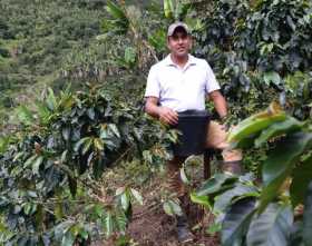 Con el café tatuado en los genes, historia de un joven cafetero que hace parte del empalme generacional de Caldas