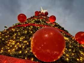 El árbol navideño, el rey de los centros comerciales de Manizales 