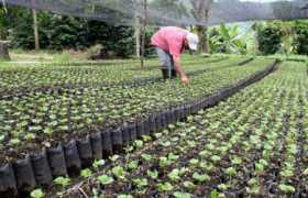 Minagricultura, lleno de promesas