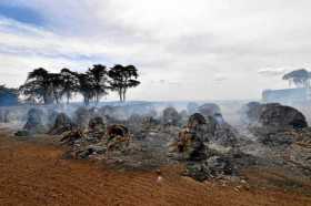 Desde que los incendios comenzaron en septiembre pasado, en Australia han causado 26 víctimas mortales, calcinado unas 2 mil cas