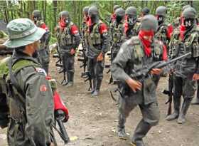 Guerrilla del Eln en su actividad en los campos de Colombia. 