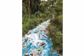 Daño en empresa de Maltería provocó coloración azul de la quebrada Manizales: Corpocaldas 
