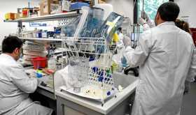 La fase 3 y definitiva para conocer si la vacuna de Moderna obtendrá aprobación comenzará el 27 de julio.