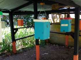 Antes de la pandemia, los niños de preescolar del colegio San Pablo, de Victoria, aprendían sobre abejas y el proceso de la miel