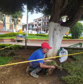 Mantenimiento a zonas verdes en Pácora
