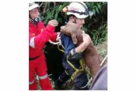 El perro cayó a un cúbico de 18 metros y lo rescataron