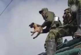 Investigan a un soldado por lanzar un perro al vacío