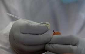 Más de 15.000 contagios por la covid-19 en Colombia, 120 en Caldas 