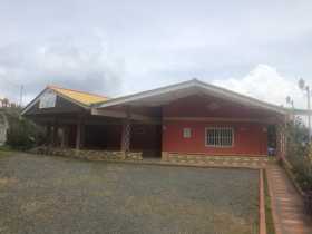 La Fundación Luz de la Esperanza busca alternativas