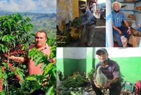 La fuerza del campo de Caldas durante la pandemia