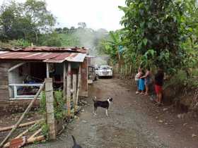 Veredas de Chinchiná se blindan contra el dengue