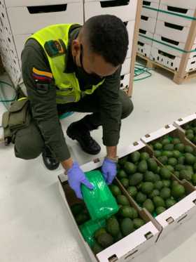 1.572 kilos de cocaína iban en cargamento de frutas