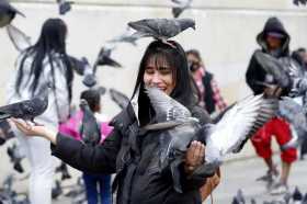 Una mujer alimenta palomas y pierde su tapabocas en Bogotá. 