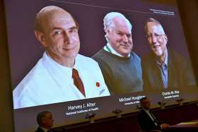 Un Nobel de Medicina para tres virólogos que descubrieron la hepatitis C