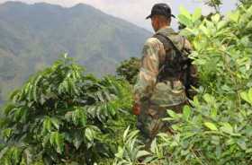 Unos 2.100 indígenas, confinados por choques entre grupos armados en Antioquia 