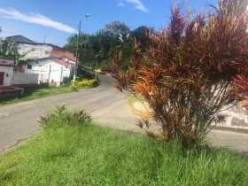 Según la comunidad esta se ha convertido en el retrete de los perros.