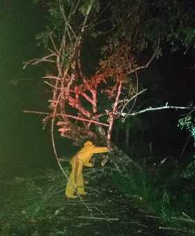 Estragos por lluvias en Caldas.