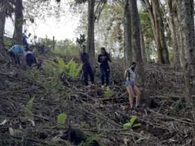 Siembran árboles en Aranzazu