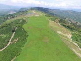 Fiduciaria Colpatria manejará patrimonio de largo plazo de Aerocafé