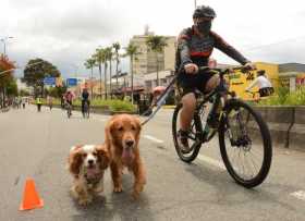 Caldas llega a 1.703 personas con covid-19 activo 