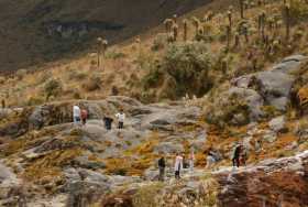 Turismo con respeto: respire y cuide el páramo en el PNN Los Nevados