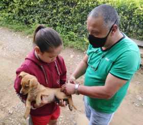 Vacunación antirrábica en Aranzazu 