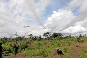 Colombia, cada vez más cerca de retomar las aspersiones aéreas con glifosato