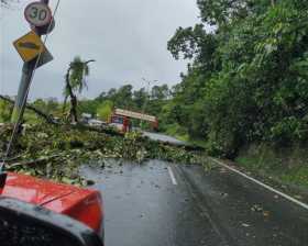Deslizamientos y caída de árboles en Manizales tras lluvias de esta madrugada 
