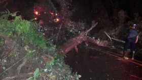 Aguacero con granizo provocó caída de árboles en la Troncal de Occidente en Anserma