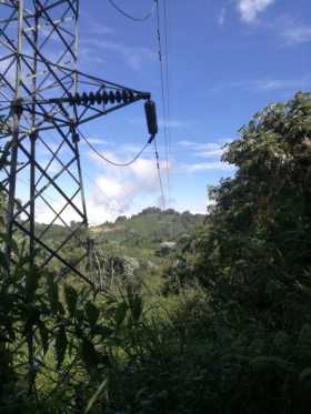 Chec podará árboles cercanos a cuerdas de alta tensión en varios puntos de Manizales