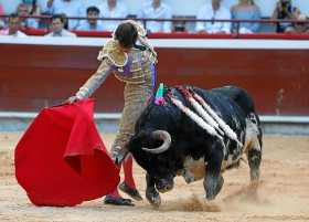 El torero peruano Roca Rey lidia al toro Florido, de 510 kilos de la ganadería de Juan Bernardo Caicedo.