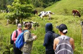Las restricciones en la movilidad modificaron los hábitos para los turistas de Villamaría y Manizales, quienes prefieren salir a