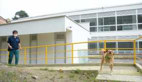 El Hospital Público Veterinario sigue sin abrirse después de que las obras se entregaron el 24 de diciembre pasado.