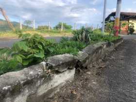 Los separadores de la Avenida Arango Zea están instalados desde 1989. Planean sustituirlos por unos nuevos.