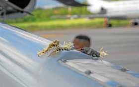 Fotografía cedida por la Presidencia de Colombia que muestra los impactos de bala en el helicóptero en el que viajaba el preside