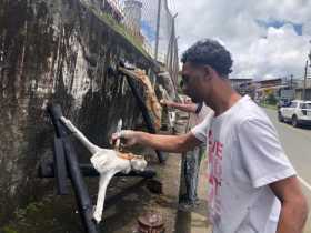 El emprendimiento salvador de tres jóvenes imagineros en Anserma