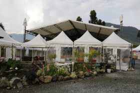 Pícnic, espacio seguro para compartir en pandemia