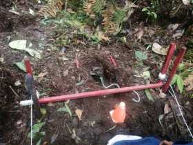 Hallaron mina antipersonal en Selva de Florencia (Samaná)