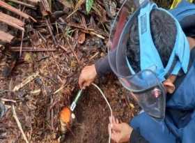 Destruyen tres minas antipersonal en la vereda Raudales (Samaná)