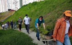Los residentes de la Urbanización Calamar de Villamaría participan los domingos en jornadas de ornato y embellecimiento del ento