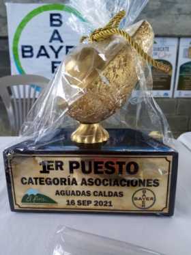 El aguacate de oro.