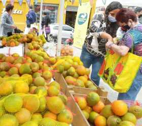 5 mil kilos se vendieron en la Semana Citrícola en Manizales