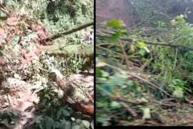Una mujer murió al caerle un árbol mientras esperaba que abrieran vía entre Neira y Aranzazu