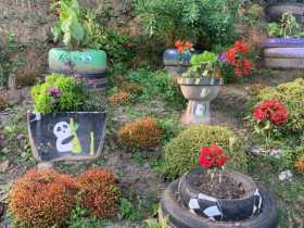 Un jardín de llantas en Anserma